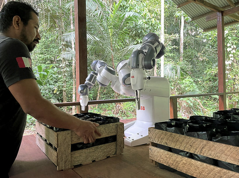 ABB Robot i chmura pomagają w zalesianiu Amazonii